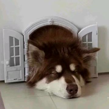 疯℃