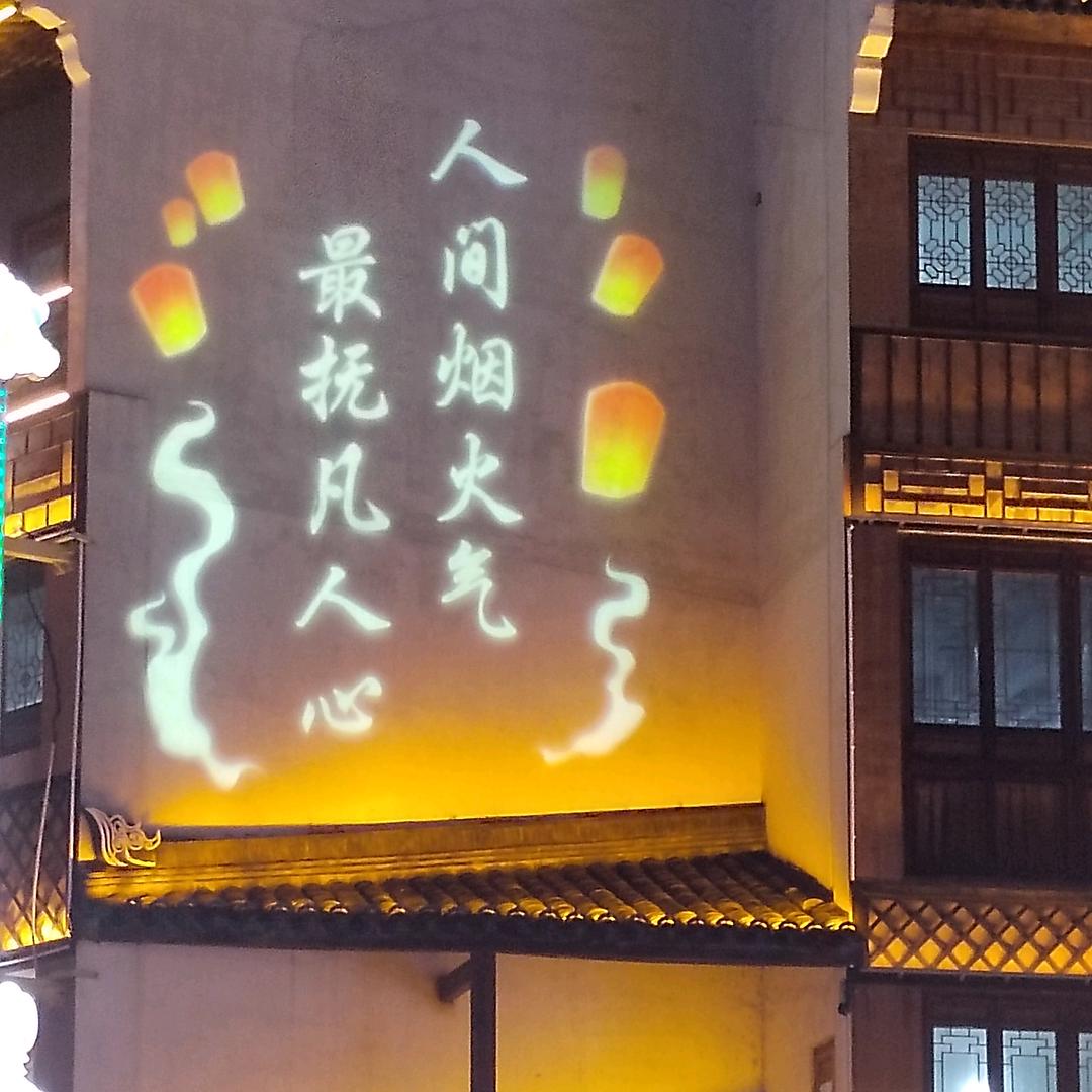 A.飛飛