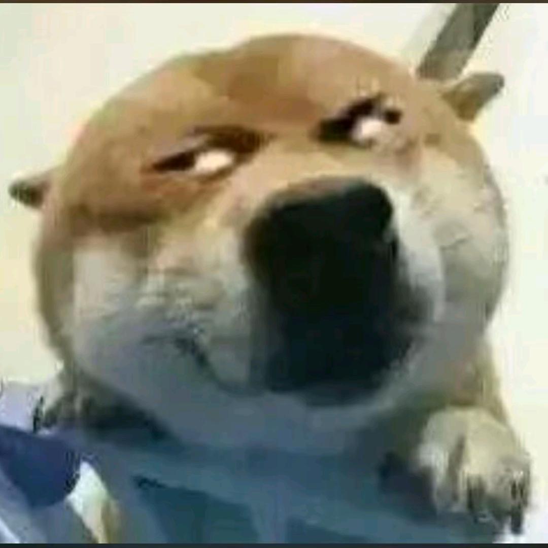 若凌