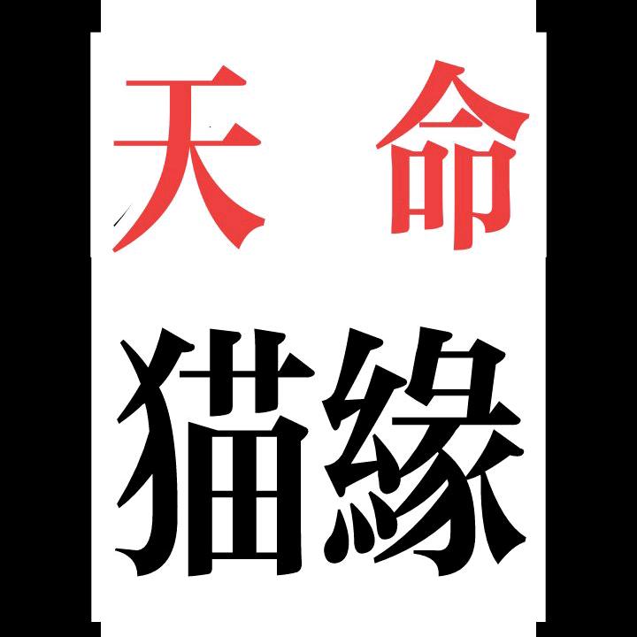 天命猫缘