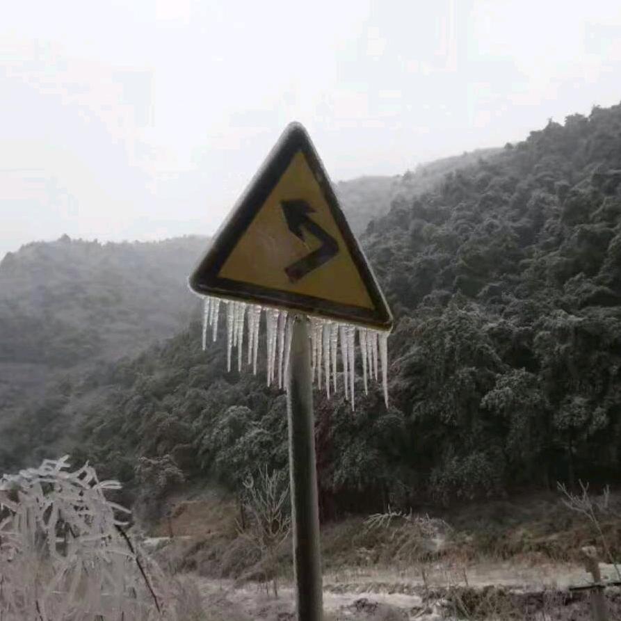 赵随根