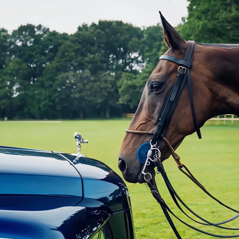 ℒᎭℯ释💫怀𝒜𝓌