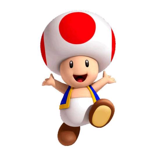 联恒电子主播Anny