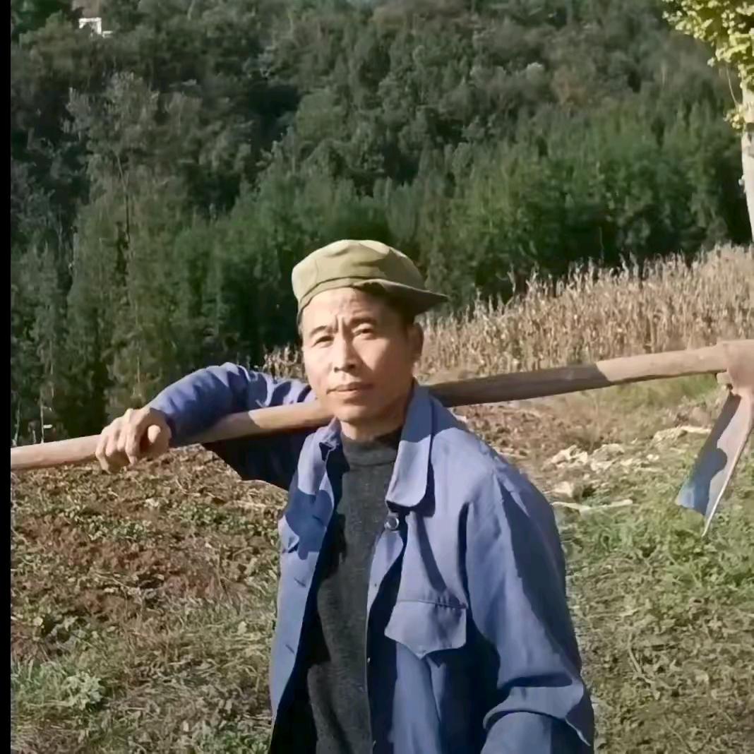 六 歌