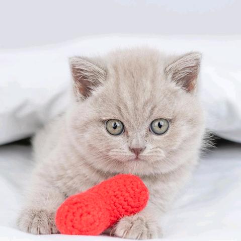 早上中午晚上好