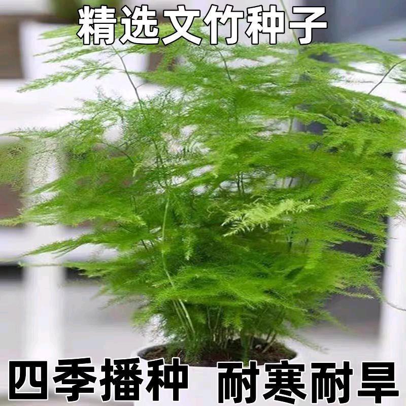 人生如梦