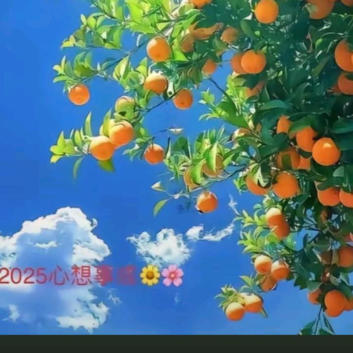 农村大叔