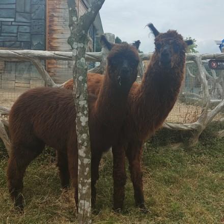 青春没有售价,硬坐直达拉萨。