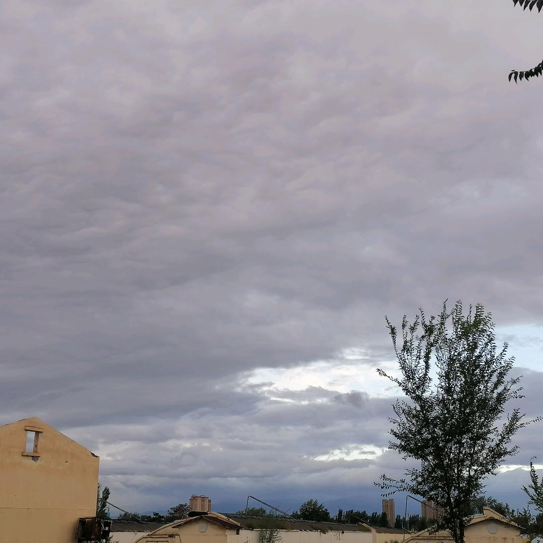 小哥呜呜呜（）