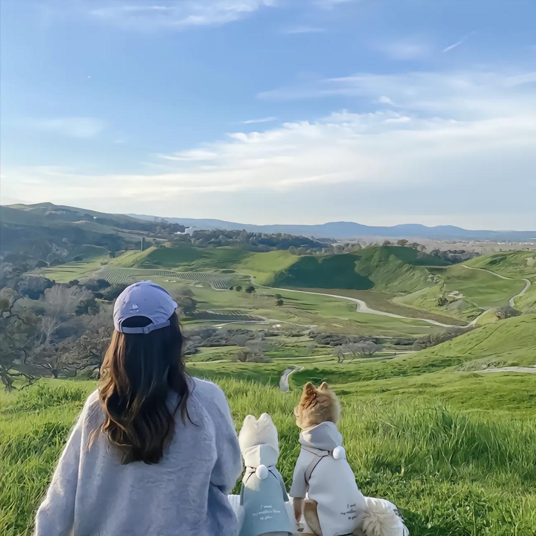 像花儿一样自由