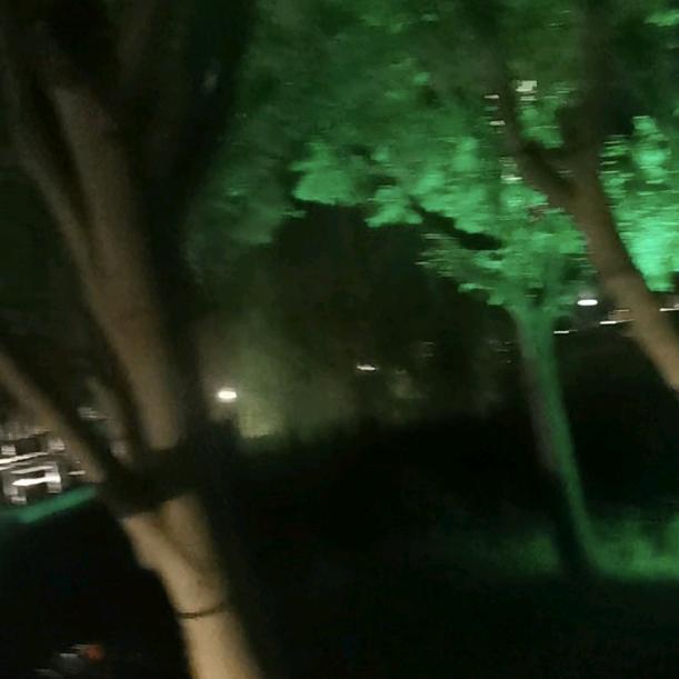琴儿