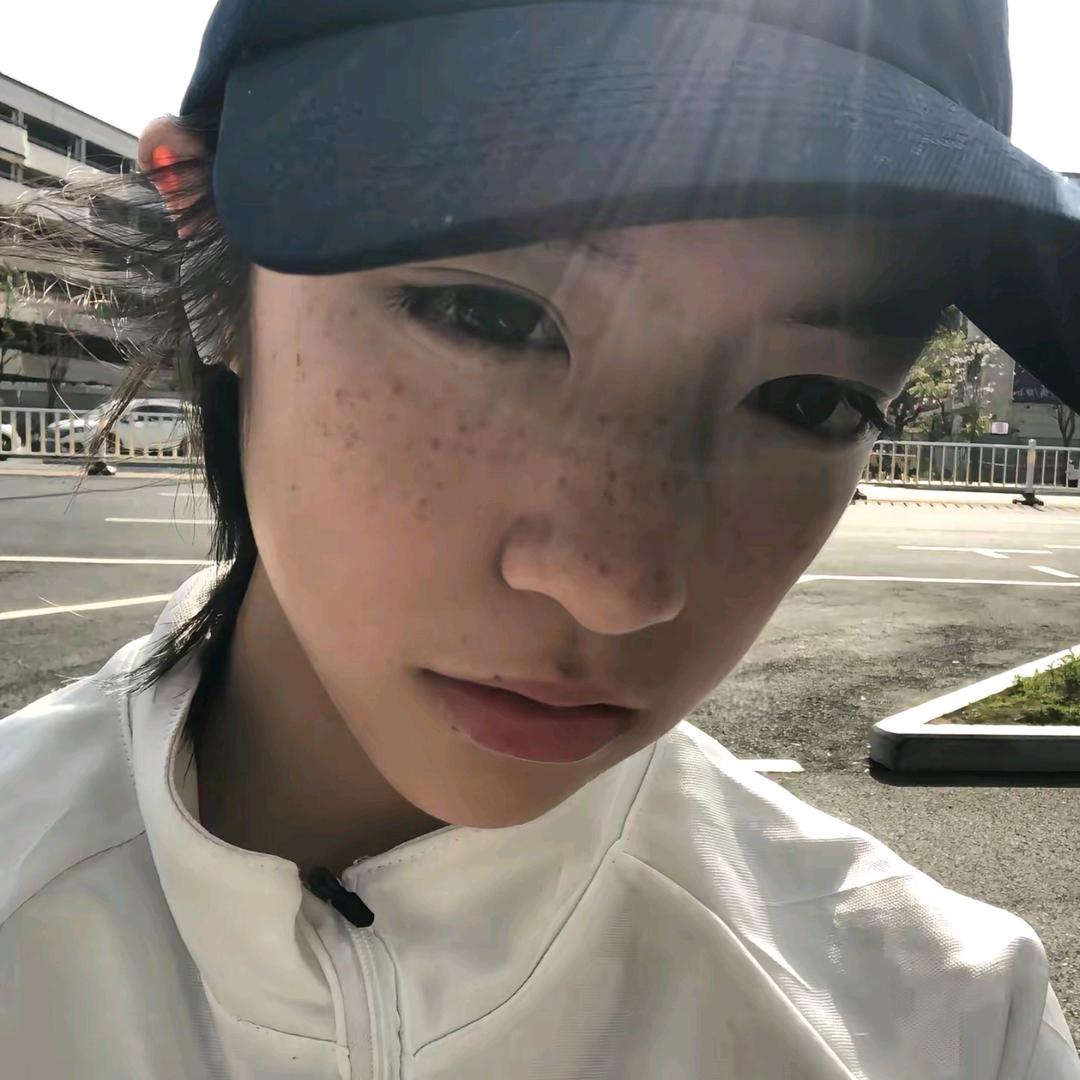 冬葵茶