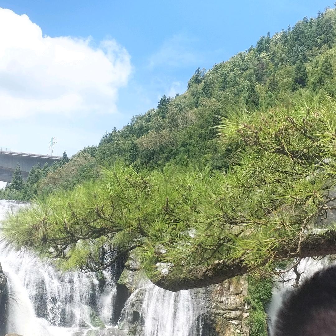封心锁爱