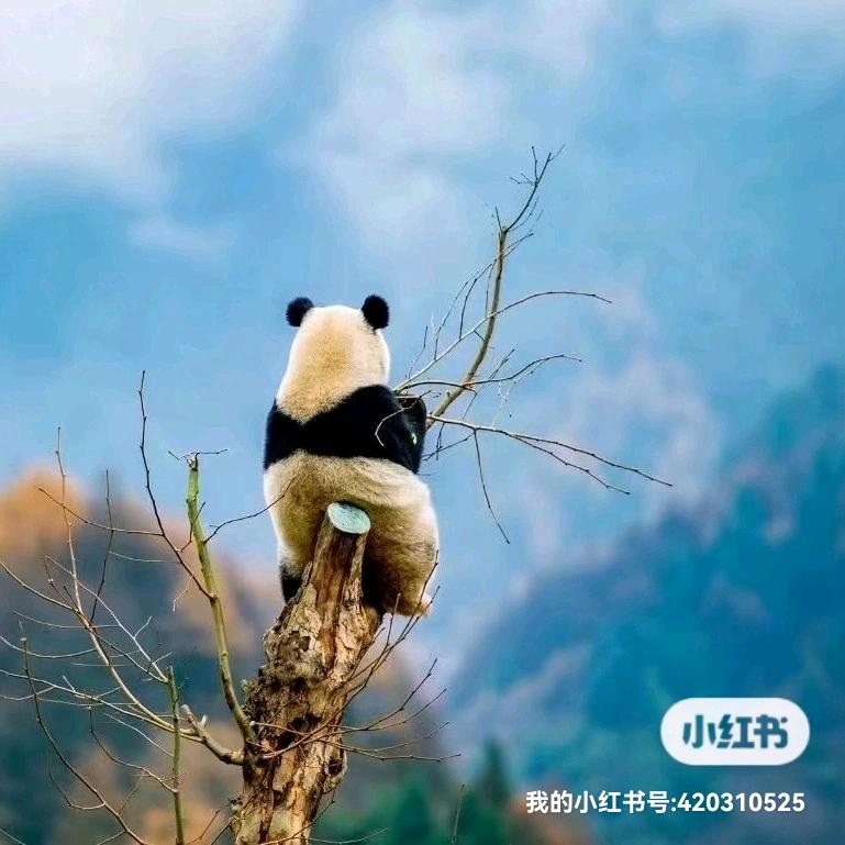许云涛