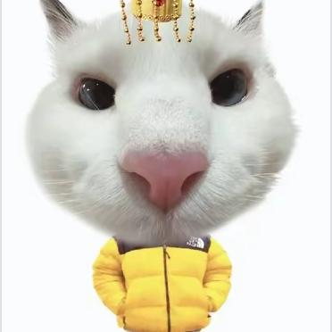 别逼傻子读书☠️💫