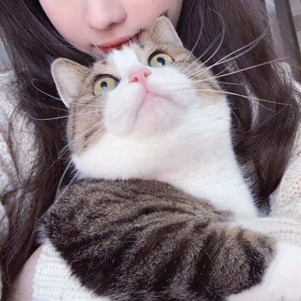 宝$宝