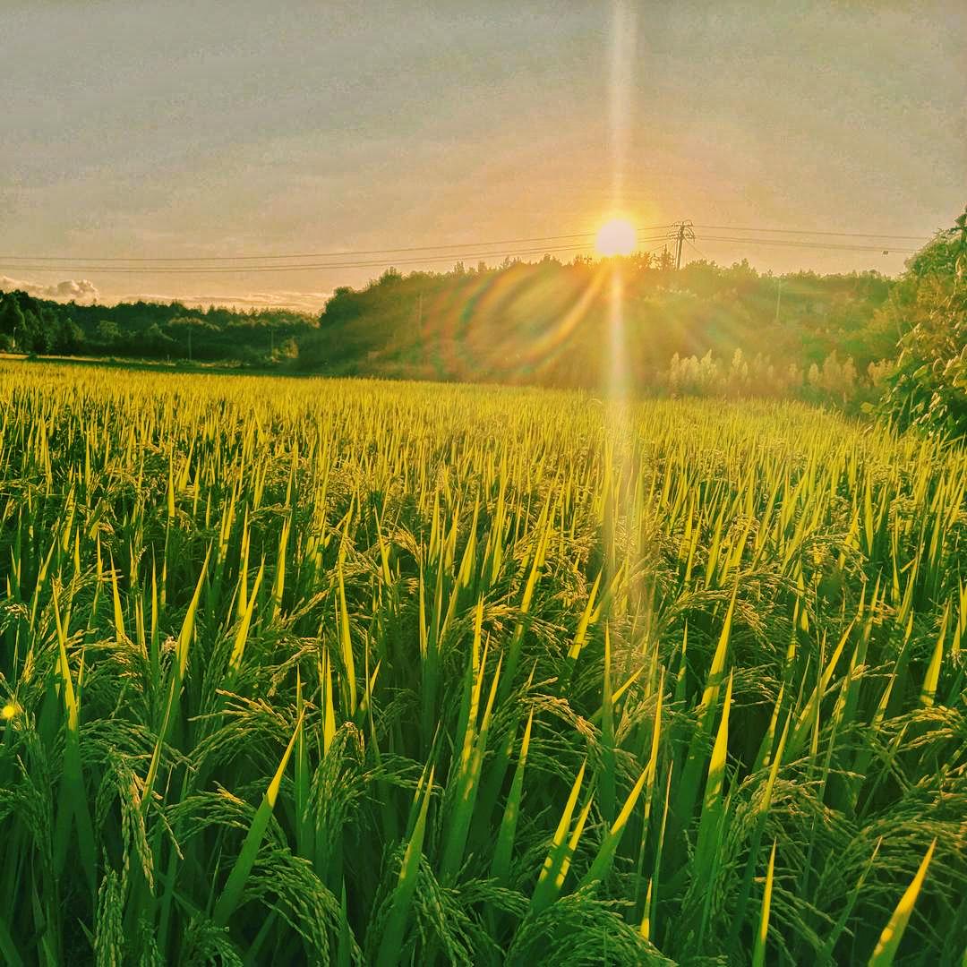 多金✨少愁(u‿ฺu✿)