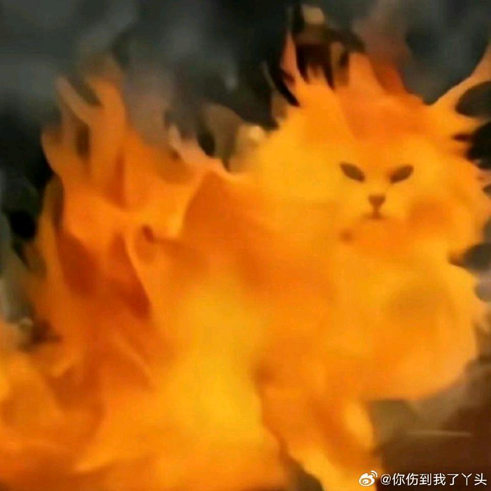 饿到晕厥的恐龙托起并抗走了一只不吃羊的狼
