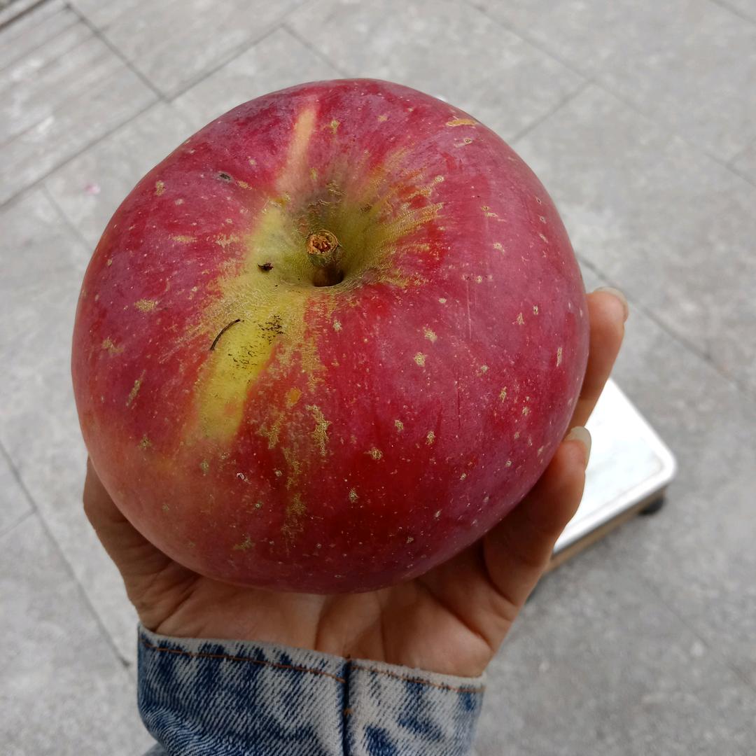 珍惜眼前