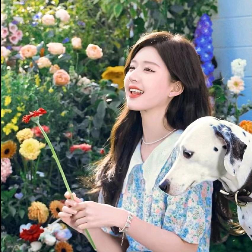 花🌸好月圆