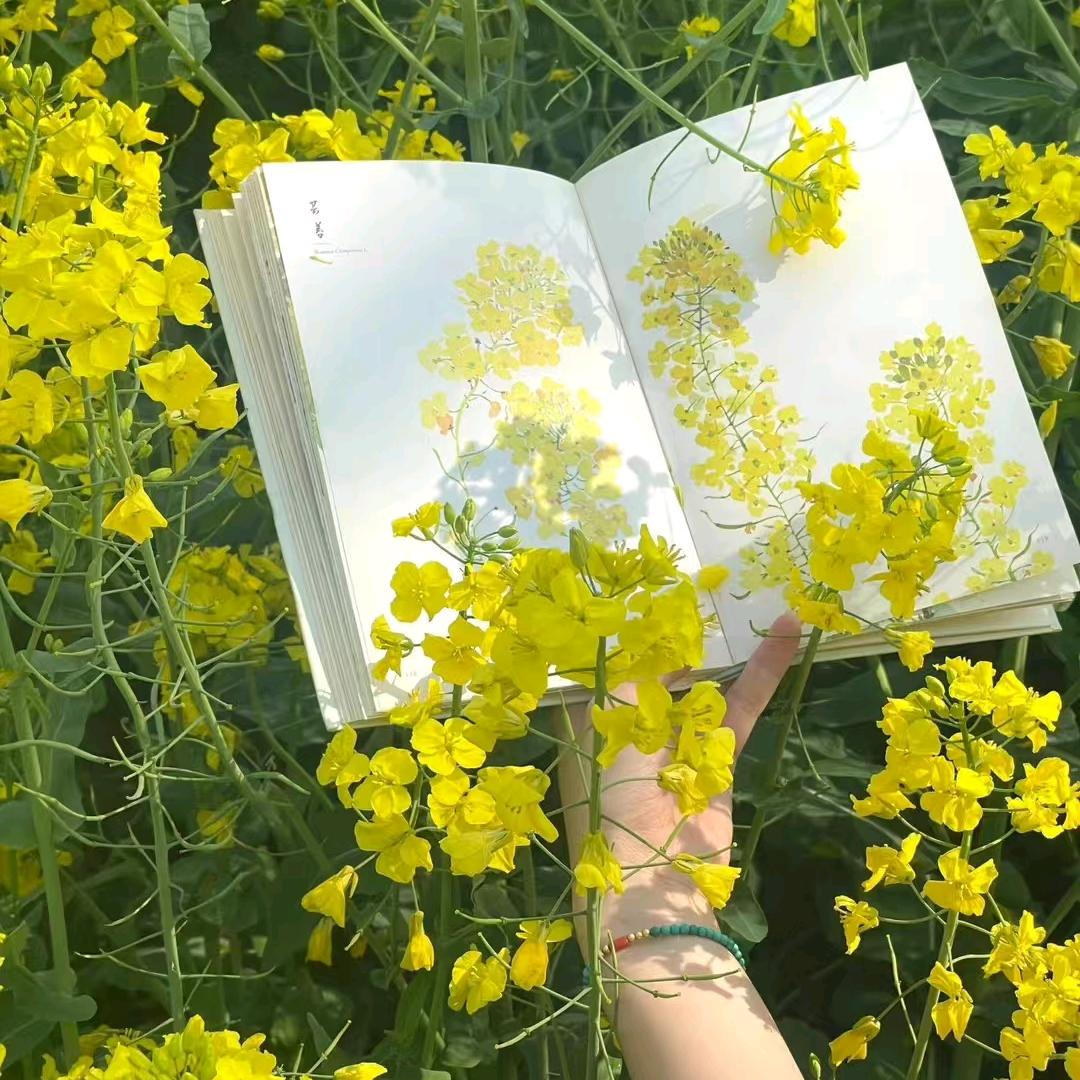 忘记过去，重新开始