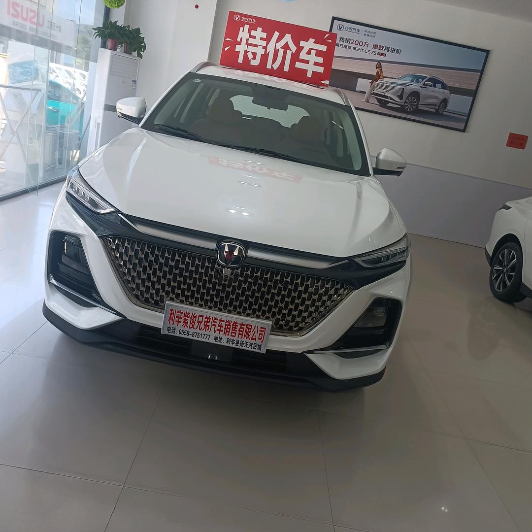 张现意