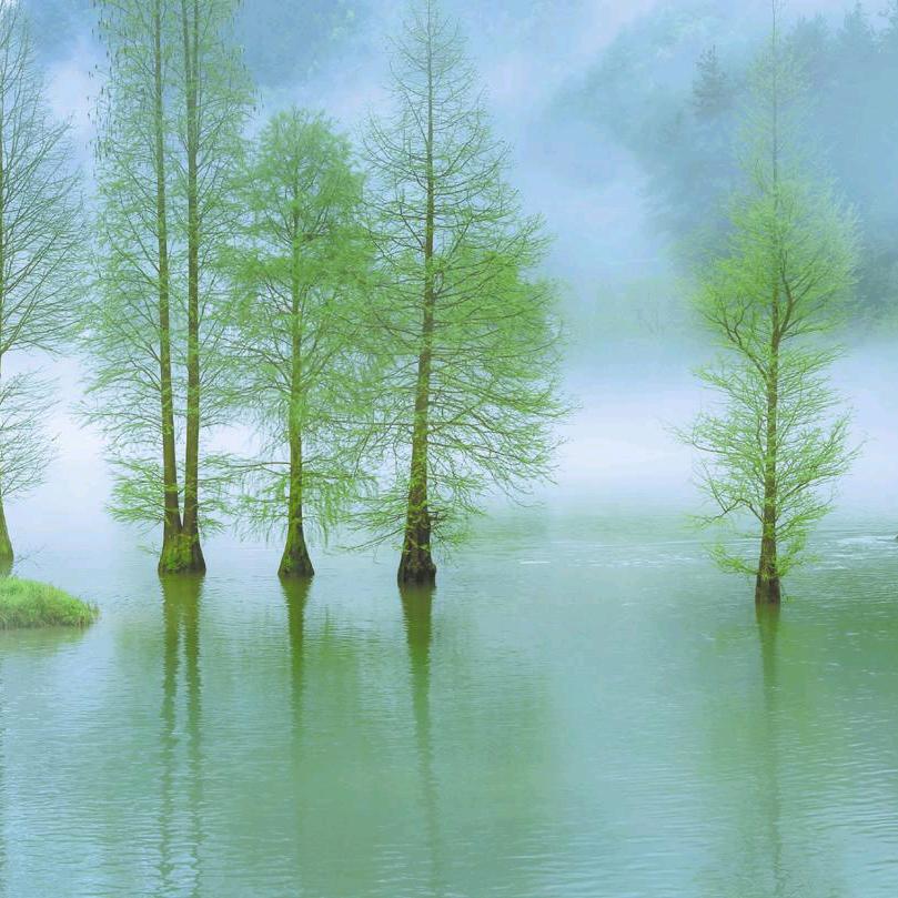 東東🌸时光运转