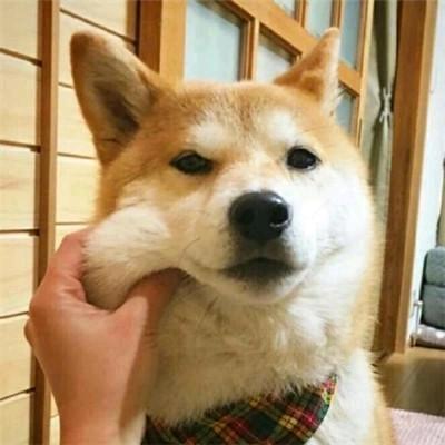 云落nice头像