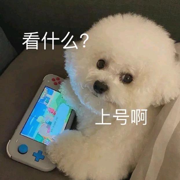 心碎烤冷面so