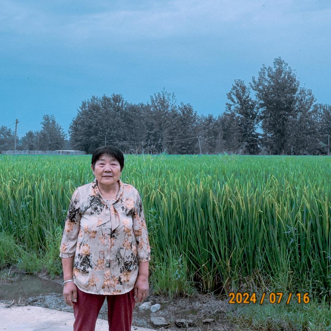 李金兰