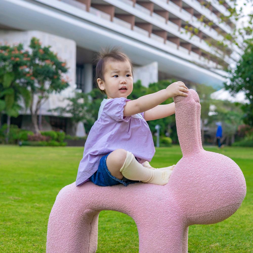 苗苗的成长日记