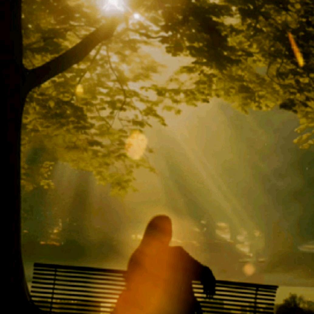 永恒的茉莉花园