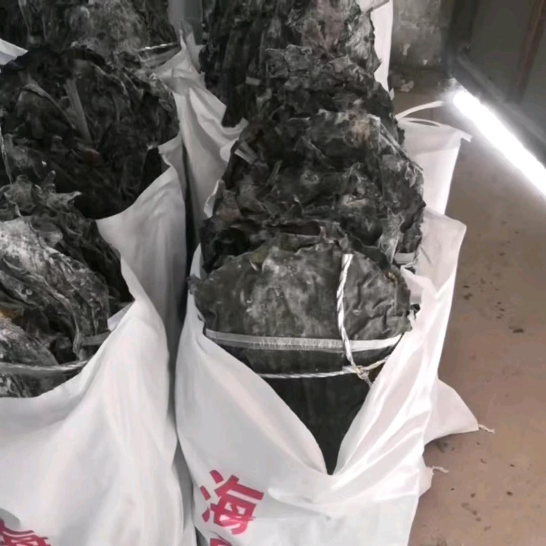 专业海带批发