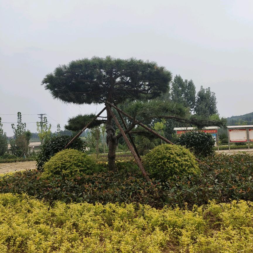 এ᭄๓清风ོꦿ℘