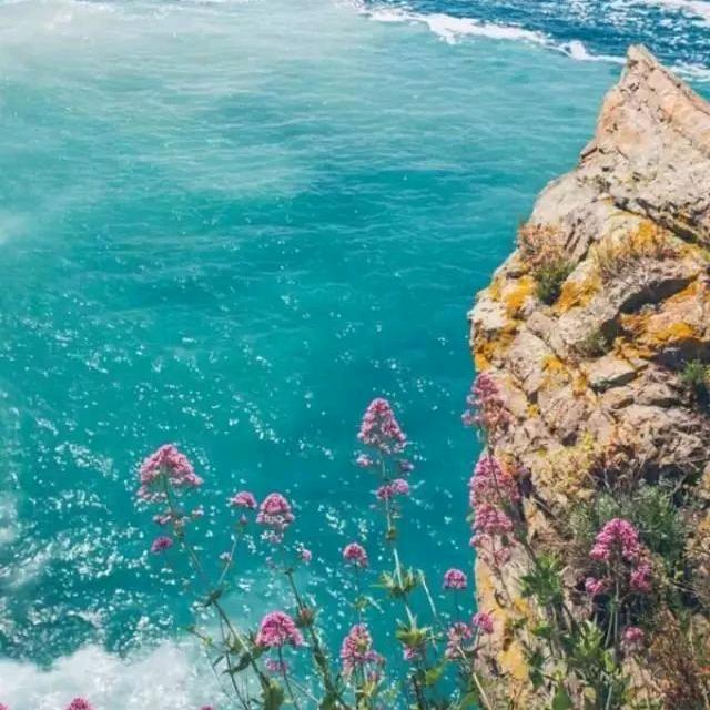 拥抱你离去（张智）