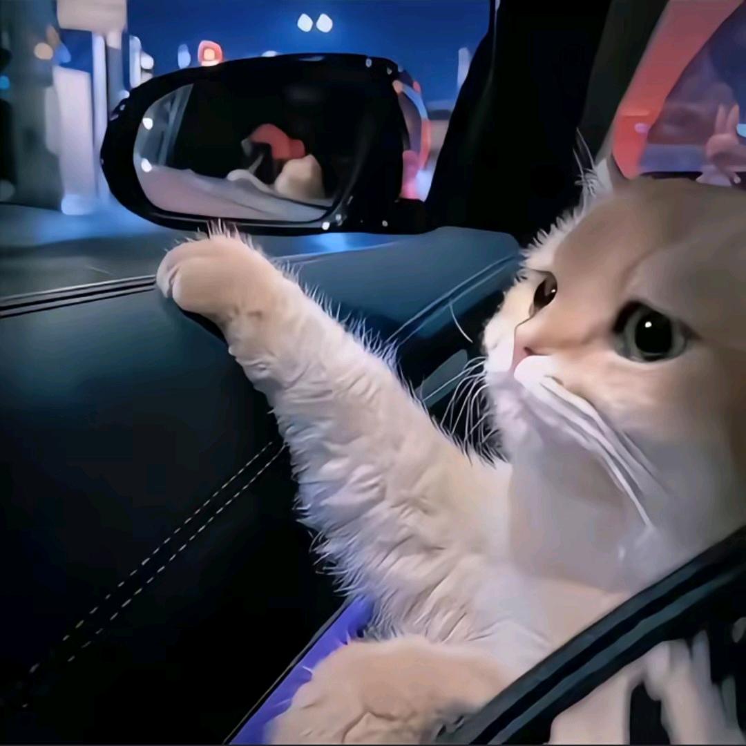 嘛