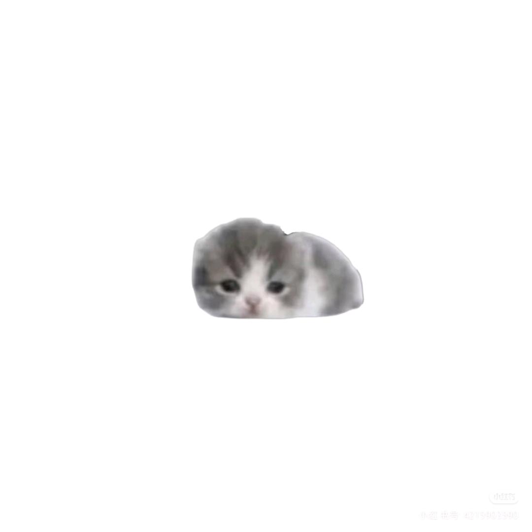 防腐剂
