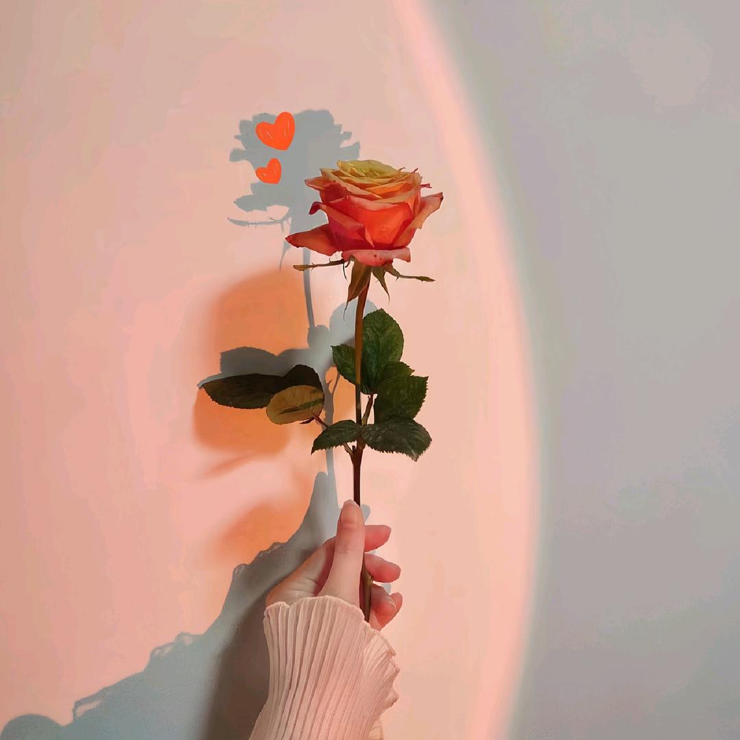 芸芸