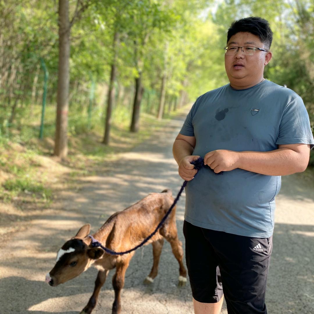 丁丁牛肉店