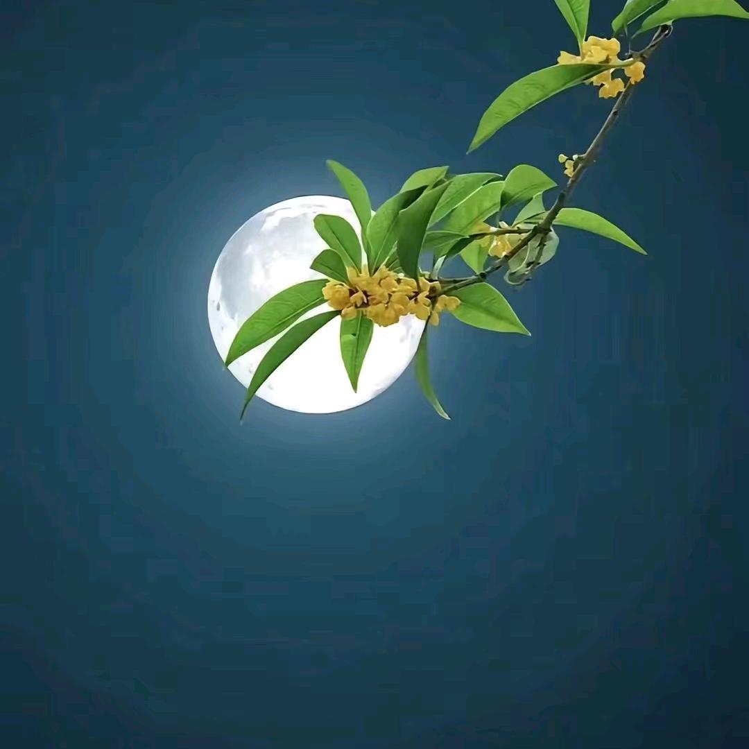 天方夜谭