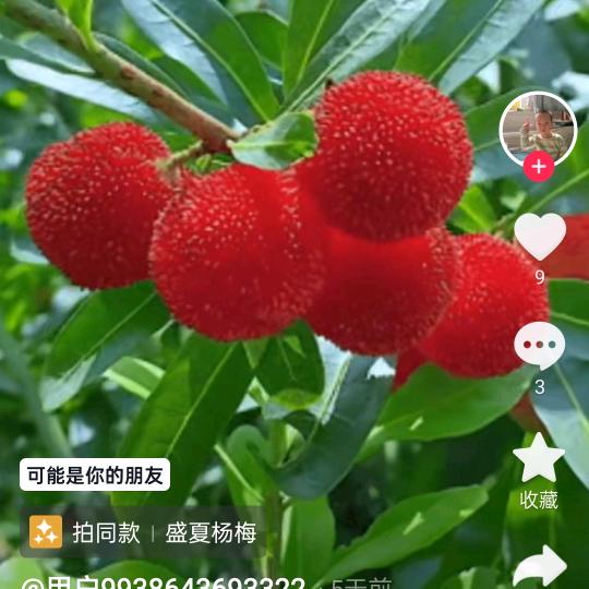 时来运转，好运连连《拒绝私聊》