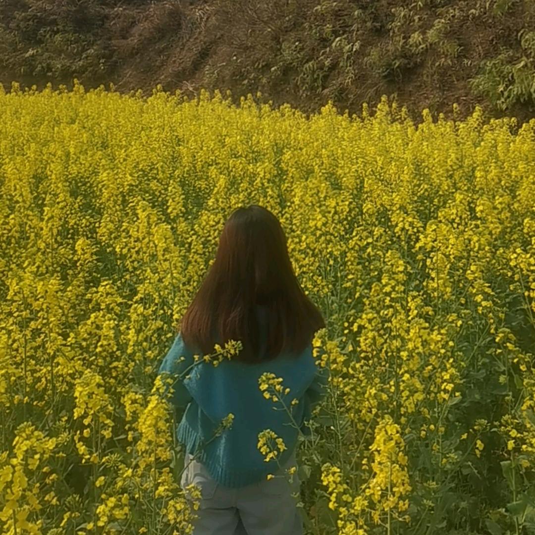 我是美乐