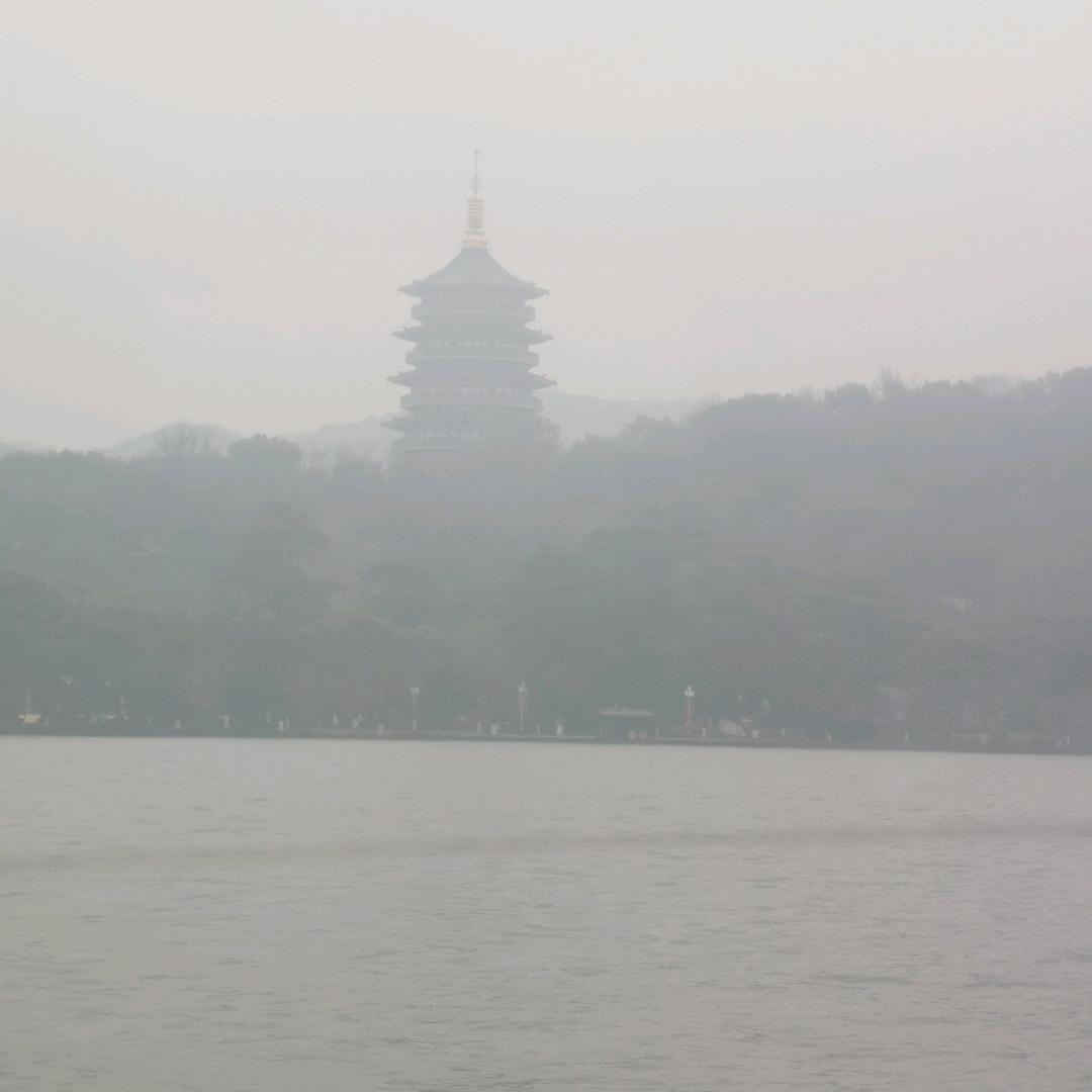 东岳凤凰