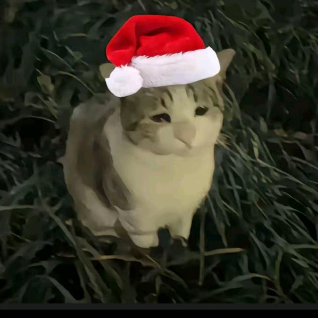 EEEEEEE