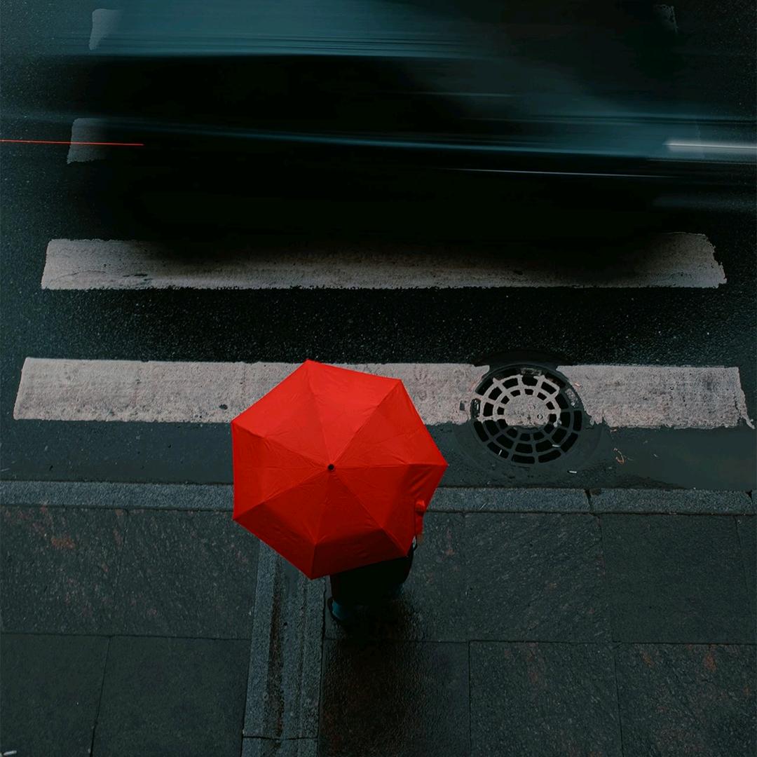 暴富的丹丹