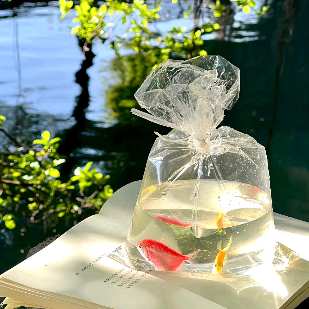 我还想要长高高