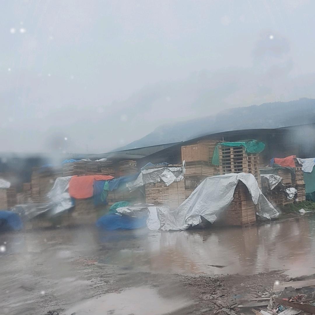 木材小伙（瘾大集团）