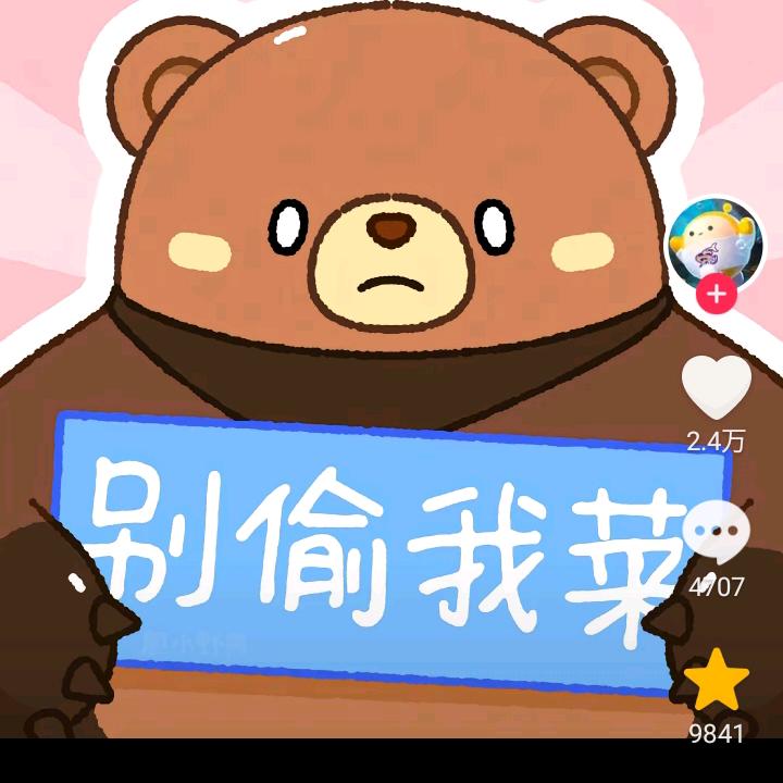 睡袋熊。熊大