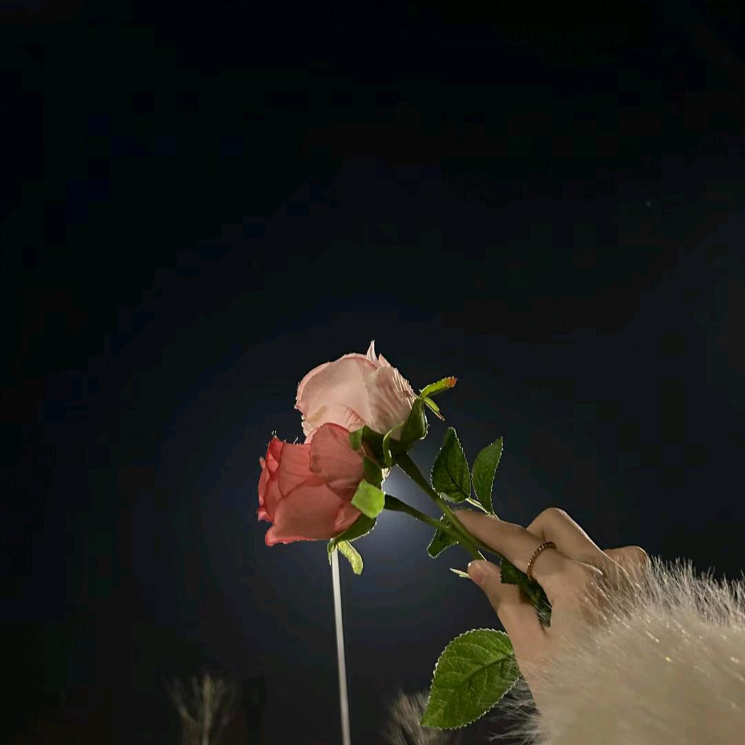 如愿♬