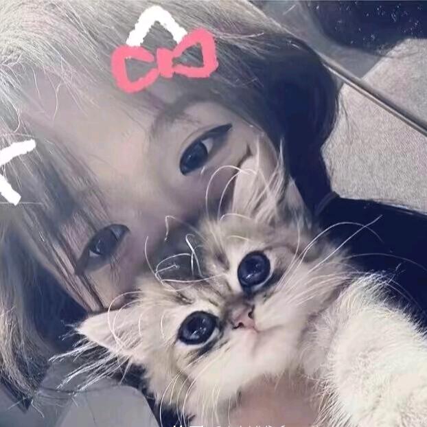 小波